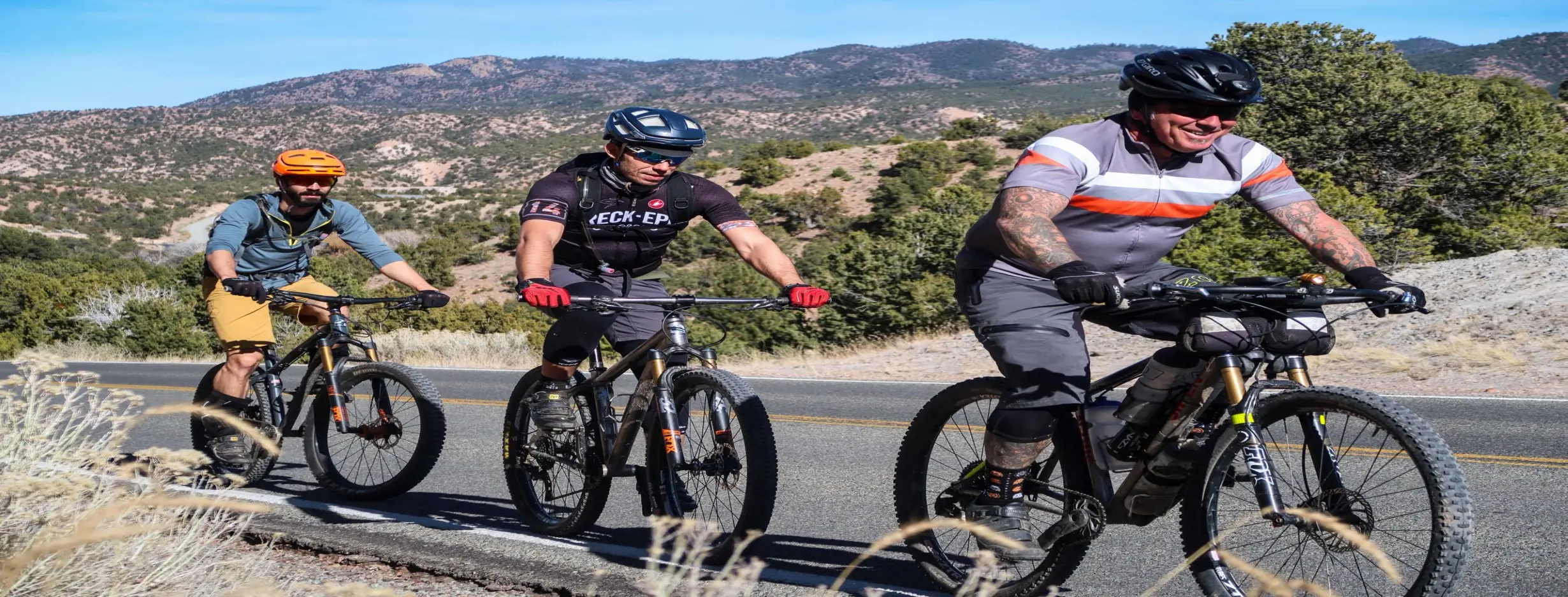 Image for Bicycle Tour